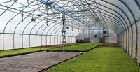 Serre à tunnel à travée unique à bas prix avec filet d'ombrage, serres agricoles sur mesure grandes