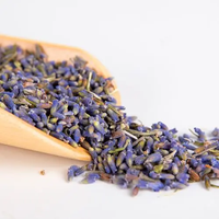 Herbes et épices chinoises traditionnelles pour la préparation de thé, fleurs séchées, boutons de lavande