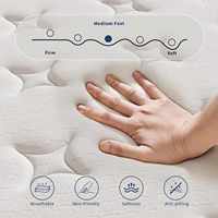 Matelas à ressorts de 12 pouces en boîte, ressorts ensachés individuels et mousse à mémoire de forme pour une isolation des mouvements