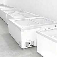 Offre Spéciale d'usine litre différent maison mini réfrigérateur d'aliments frais réfrigérateur congélateur maison réfrigérateurs hôtel mini réfrigérateur