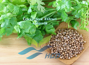 Suministro directo de fábrica de HGO Extracto de semilla de apio natural puro (grado alimenticio) Especificación apigenina 5% - 98% (extracto estandarizado) - Product Image 2