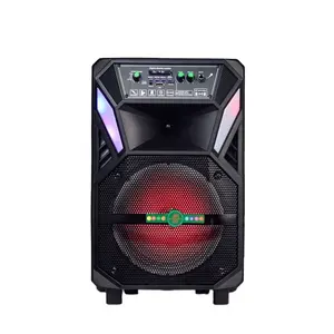 In Voorraad Hoge Kwaliteit Trolley Speakers 8 Inch Professionele Audio Voor Karaoke