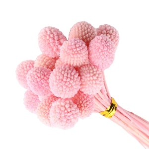 Fleur de Craspedia dorée naturelle préservée, faite à la main, à longue tige, pour la Saint-Valentin, la Fête des Mères, Thanksgiving - Product Image 4