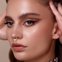 Anneau de septum en titane G23 ASTM F136 avec zircon marquise, boucles d'oreilles incurvées à pointe, clous d'oreilles tendance, bijoux de piercing corporel