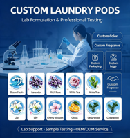 Capsules de lavage de vaisselle pour supermarchés, personnalisées, avec élimination des taches de thé et de café, brillance cristalline, fabricant qualifié OEM ODM