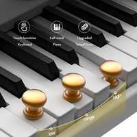 Oem Customizable Digital 88-Key Weighted Hammer Action Piano Keyboard with USB-MIDI Interface and 3 Pedals