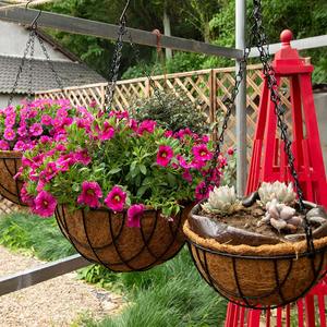 <span class=keywords><strong>Maceta</strong></span> de hierro con orquídea colgante de palma de coco, cesta colgante de eneldo verde para columna de balcón, paquete de <span class=keywords><strong>maceta</strong></span> colgante de eneldo verde - Product Image 4