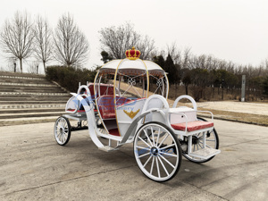 Carruaje de Cenicienta en Venta, Transporte Especial, Carruaje de Fantasía de Princesa Calabaza, Carruaje Eléctrico en Venta - Product Image 5