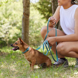 Fournisseur Gold Plus Extension de laisse de chien mains libres Laisse et collier de chien très résistants Laisses de chien qui se fixent aux vélos - Product Image 5