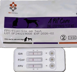 ชุดตรวจวินิจฉัยโรค VIF และโรคเลือดออกในแมวแบบเร็วสำหรับสัตวแพทย์  สำหรับโรงพยาบาลสัตว์  ตรวจหาโรค VIF และโรคเลือดออกในแมว - Product Image 1