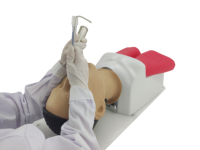 Maniquí Avanzado para Intubación Endotraqueal, Modelo para Entrenamiento en Escuelas de Medicina, Construcción en PVC y Plástico