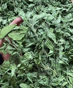 Nouvelle récolte thé aux herbes chinoises 100% feuilles de menthe naturelle feuilles de menthe poivrée séchées en vrac 15KG/Carton - Product Image 1