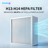 Filtro ULPA U16 sin pliegues separadores para caja de entrada de aire en naves avícolas, filtro HEPA H13 de pliegues profundos, precio mayorista