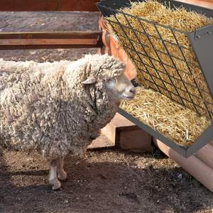 Pengumpan logam untuk menempatkan jerami, pabrik manufaktur grosir produksi kuda peliharaan dan pengumpan domba hewan peliharaan - Product Image 5