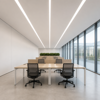 AEF-011 Faisceau asymétrique pour éclairage mural, lentille linéaire LED en PMMA de qualité optique pour vitrines et étagères