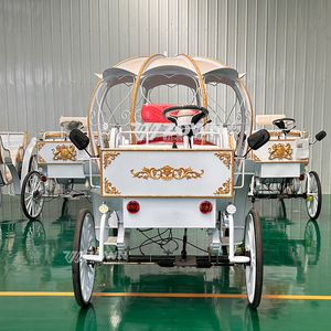 Carruaje eléctrico blanco de Cenicienta para sesiones de fotos de bodas y excursiones turísticas en lugares escénicos - Product Image 2
