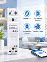 Interrupteur relais ZigBee 16A avec minuterie, moniteur de puissance 1P sur rail DIN, contrôle à distance via l'application Smart Life, marche/arrêt, compatible avec Tuya, Alexa, Google Home