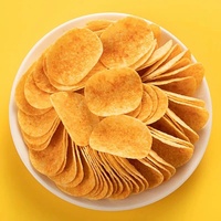 Exotische Snacks Aziatische Snacks Verse Dadels Snelle Levering Groothandel 40g/70g/135g/180g Distro Aardappelchips