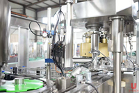 Machines de remplissage de canettes de boissons en aluminium entièrement automatiques pour petites entreprises, nouvelle génération 2021, ligne d'embouteillage de bière