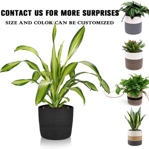 Vente en gros discount produit personnalisé <span class=keywords><strong>plante</strong></span> <span class=keywords><strong>panier</strong></span> tissé décor à la maison tissé <span class=keywords><strong>plante</strong></span> <span class=keywords><strong>panier</strong></span> coton corde <span class=keywords><strong>panier</strong></span> avec poignées - Product Image 5