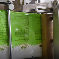 Machine de remplissage et de scellage horizontale à grande vitesse Acepack certifiée CE pour sachets de poudre et de liquide