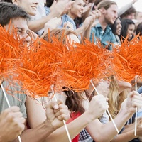 Cheerleading deux couleurs pompons pom-pom girl Cheerleader Cheering Squad pompons pour jeux de danse esprit d'équipe Cheer Rooter Poms