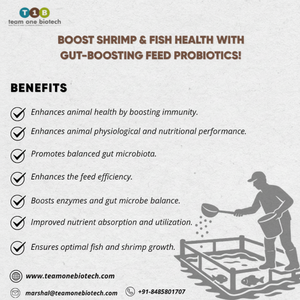 Aditivos Probióticos para Alimentos de Acuicultura, Absorción de Nutrientes, Calidad Premium para Peces y Vida Acuática - Product Image 1
