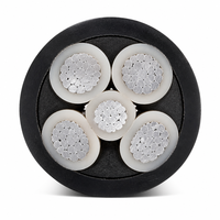 AL/XLPE/PVC 5-adriges Aluminium-Leistungskabel XLPE-Isolierung PVC-Mantel 4x50mm2 0,6 1kV Energieübertragung