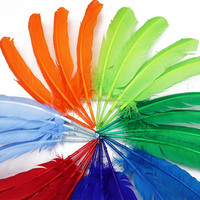 Plumes d'ailes de dinde teintes en gros, 10-12 pouces, multicolores, pour l'artisanat de carnaval, la décoration de costumes et les projets de bricolage