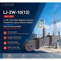 Transformateur de courant zéro-sequence LJ-ZW-10(12) CT 10kV/12kV 20/50A 1A 10P10 Extérieur Époxy-Silicone
