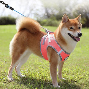 Accessori durevoli al piombo per animali domestici con cavo resistente in acciaio resistente guinzaglio per cani - Product Image 6