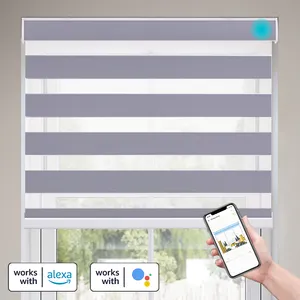 Smart customed Indoor Alexa Smart Electric motorizzato Zebra Window tapparelle per finestre tendine per finestre