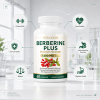 Capsules de Berbérine Plus OEM/ODM 1200mg pour la Santé Digestive, l'Équilibre Intestinal et le Soutien Immunitaire chez l'Adulte