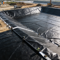 Géomembrane HDPE sur mesure pour bassin de lixiviation en exploitation minière