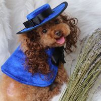 Nouveaux vêtements pour animaux de compagnie en polyester pour chiens : chapeaux, capes, costumes de transformation, style britannique, tenues de fête et de farces