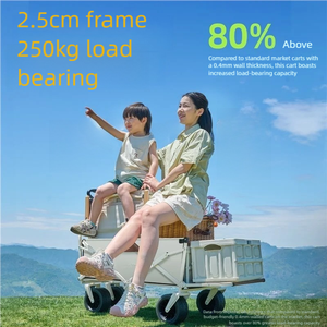 Carrello da Campeggio Pieghevole per Esterni, Carrello per Consegne, Carrello Reclinabile per Bambini, Carrello da Picnic - Product Image 2