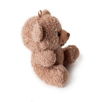 Peluche personnalisée avec logo, ours en peluche classique, porte-clés en peluche doux avec rembourrage en coton PP, taille 11-30 cm