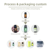 Huile de Diffusion FANMUSI en Gros 10ml – Huiles Essentielles Naturelles pour Diffuseur à Bâtonnets, Notes Florales Orientales Fraîches et Boisées