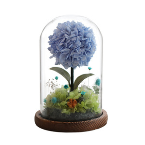 Flores de Hortensia Preservadas de Larga Duración en Cúpula de Cristal, Flores Eternas, Recuerdos, Regalos, Decoración para Bodas y Hogar, Regalos de Flores Preservadas - Product Image 6
