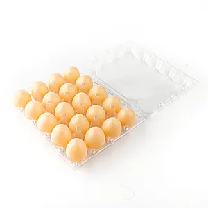 Bandeja de plástico ecológica para huevos, bandeja de 10 agujeros para supermercado, 2023