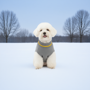 เสื้อสเวตเตอร์สัตว์เลี้ยง Pawfect เสื้อผ้าสุนัขถักนิตติ้ง สีเทา แต่งขอบสีเหลือง สไตล์คลาสสิกน่ารัก ใช้ได้ทุกฤดู ผลิตจากวัสดุโพลีเอสเตอร์ - Product Image 2