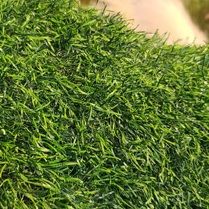 Songtao Haute Qualité Réaliste Animal Topiaire Ornemental Grandes <span class=keywords><strong>Plantes</strong></span> Artificielles Extérieures Ornements De <span class=keywords><strong>Jardin</strong></span> Réaliste Éléphant Herbe - Product Image 6