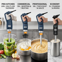 Mixeur plongeant professionnel robuste en acier inoxydable, mixeur à main à vitesse variable pour cuisine de restaurant