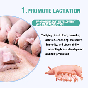 Sow Milk Booster | Improve Milk Quality &amp; Improve Sow Immunity | Chinese Herbal Sow Supplement | Nutrition <strong>Feed</strong> <strong>Additives</strong> - Product Image 3