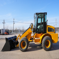 Chargeuse sur pneus Weichai Engine PLC, certifiée CE, diesel, télécommandée, Euro5, 6 tonnes, garantie 1 an, godet de 1,3 m