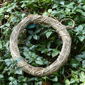 Couronnes tissées à la main Garden Village décorations <span class=keywords><strong>en</strong></span> <span class=keywords><strong>paille</strong></span> faites à la main perroquets d'oiseaux <span class=keywords><strong>de</strong></span> Noël escalade cage à oiseaux perchée suspendue - Product Image 5