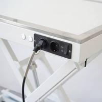 Table de toilettage électrique professionnelle AP-873 avec lumière LED et hauteur réglable, table de toilettage pour chiens avec LED