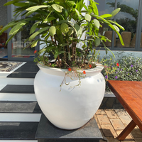 Grandes jardinières d'extérieur Chau Viet Pottery, qualité supérieure, durables, modernes, toutes saisons, en fibre de verre, finition peinte, pour la maison et le jardin, nombreuses