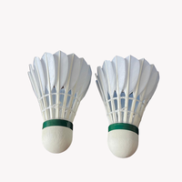 ST NO 10 Volants de badminton en plumes de canard - Bien faits, frappe douce, vol stable, parfaits pour l'entraînement en salle