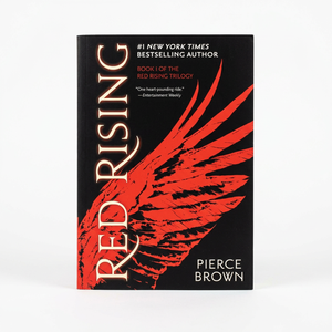 Red Rising, tome 1, par Pierce Brown - Roman dystopique de haute qualité, 343 pages, auteur best-seller - Product Image 2
